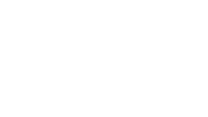 runwayhairstudioinc
